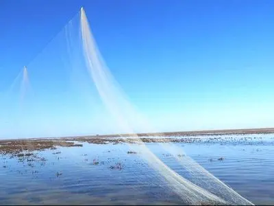 یک رشته دام هوایی زنده گیری پرنده‌های آبزی ۵۰  متری در خلیج گرگان جمع آوری شد