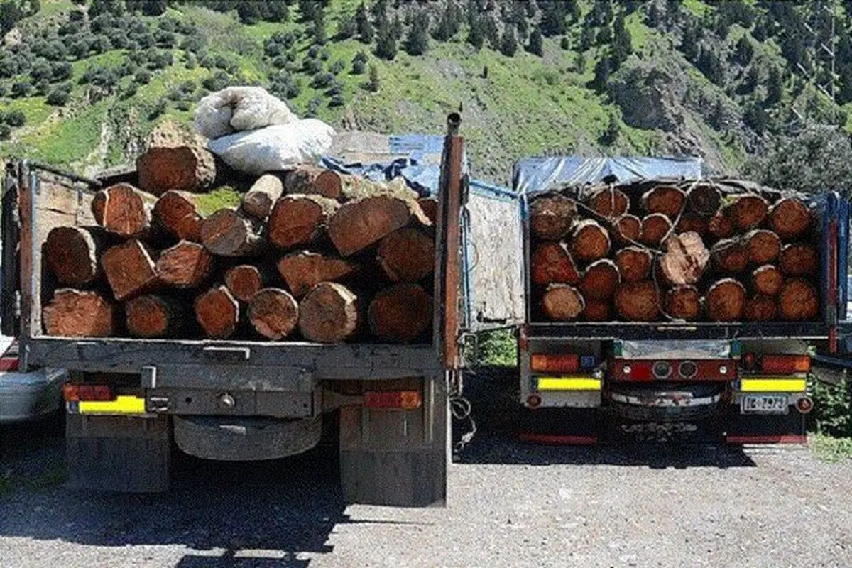 کشف ۱۰ تن چوب جنگلی قاچاق در پلدختر