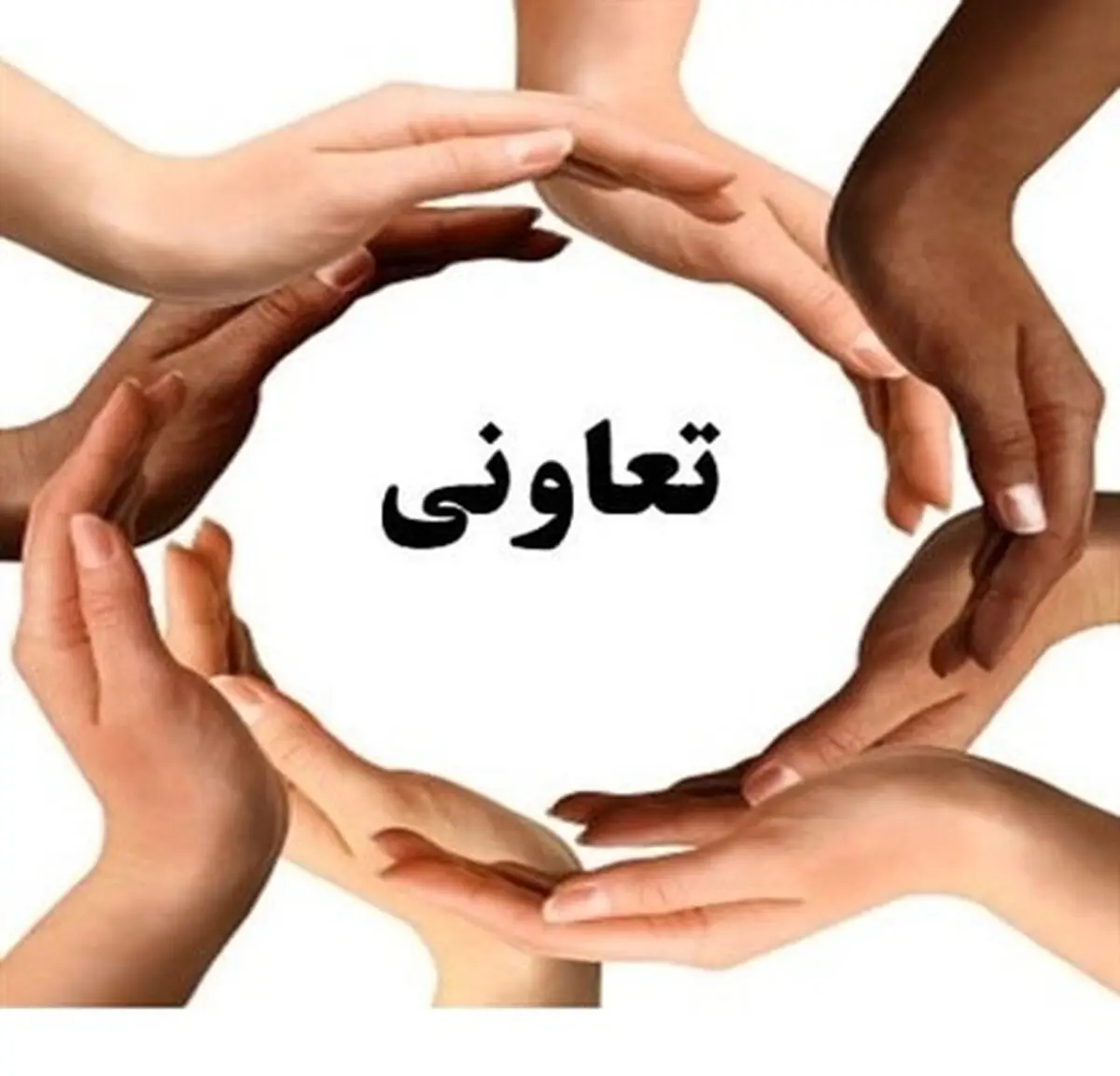 تعاونی‌های توسعه روستایی در قزوین گسترش می‌یابد