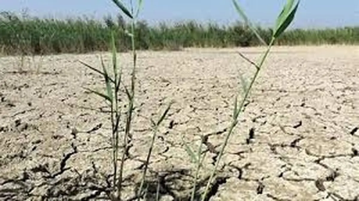 ۲۸ تالاب منشاء گرد و غبار شده‌اند