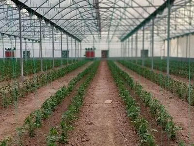 افتتاح و کلنگ زنی ۱۹ طرح گلخانه‌ای در فارس