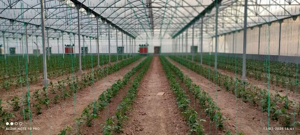 افتتاح و کلنگ زنی ۱۹ طرح گلخانه‌ای در فارس