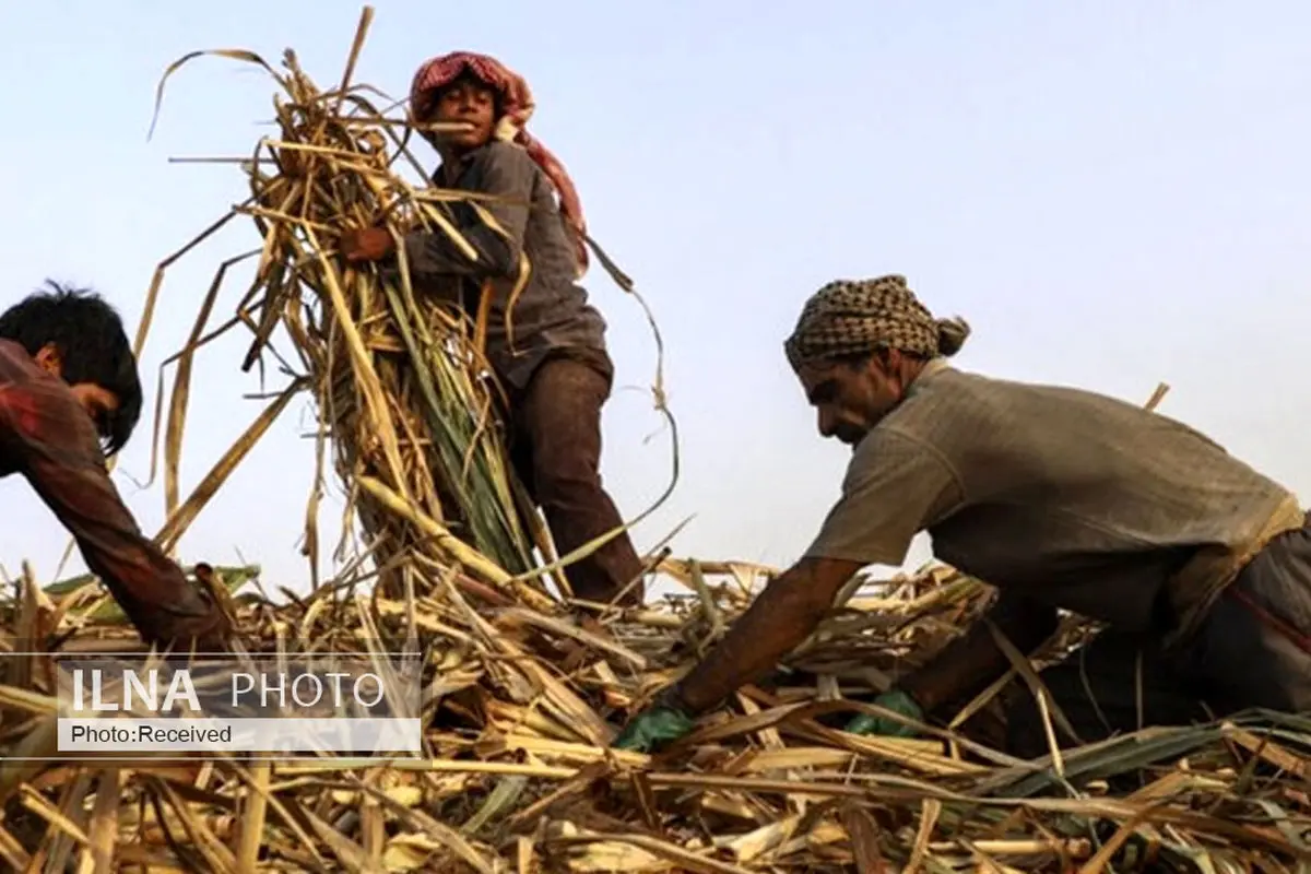 ۵ هزار و ۵۵۶ خانوار در انتظار بازگشتِ هفت تپه به دولت/ سکوتِ سازمان خصوصی‌سازی و اصرارِ مجلس بر فسخ قرارداد/ هیات داوری منتظر شکایتِ شاکیان است