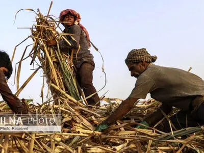 ۵ هزار و ۵۵۶ خانوار در انتظار بازگشتِ هفت تپه به دولت/ سکوتِ سازمان خصوصی‌سازی و اصرارِ مجلس بر فسخ قرارداد/ هیات داوری منتظر شکایتِ شاکیان است