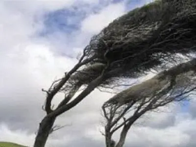 تندباد استان مرکزی را فرا می گیرد 