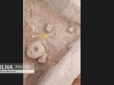 کشف شواهدی از شکل‌گیری خانواده به معنای امروزی در عصر نوسنگی/ هاونگ‌هایی که برای خرد کردن گچ استفاده می‌شدند نه آرد کردن غلات