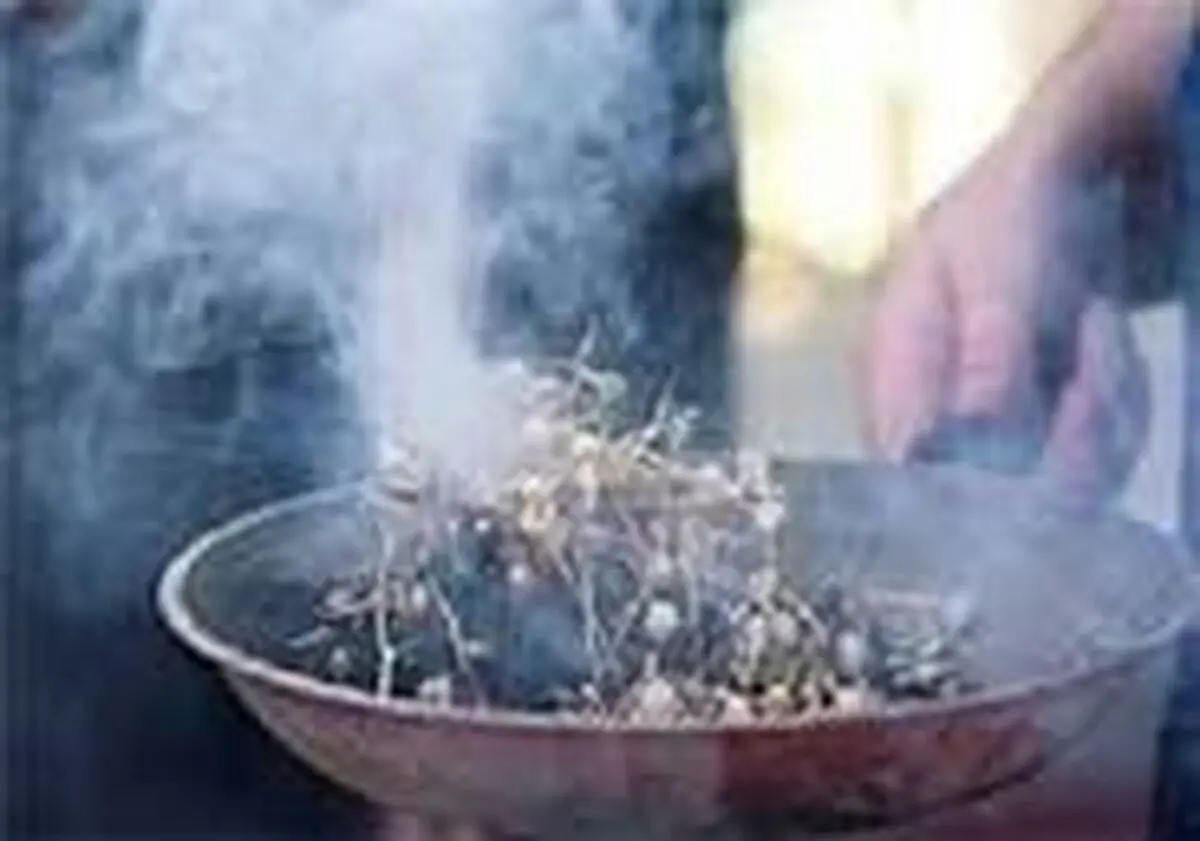 خاصیت دارویی و درمانی اسپند