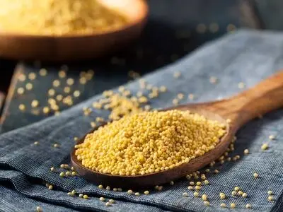 دانه‌ای پرفایده برای دیابتی‌ها