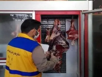 تشکیل ۱۲ پرونده تخلف بهداشتی در آستارا/ متخلفان به مراجع قضایی معرفی‌شدند
