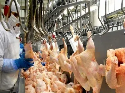 توزیع ۲۰۰۰ تن مرغ در مازندران و تهران/ تامین و توزیع کالاهای اساسی بی وقفه ادامه دارد