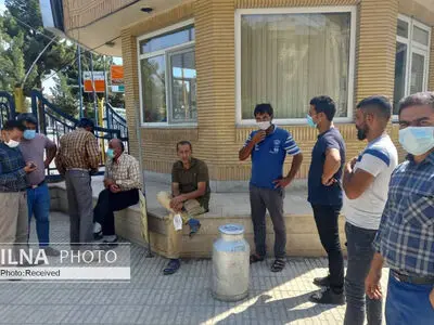 تجمع اعتراض آمیز گاوداران دامغانی مقابل اداره برق/ دامداران شیرها را داخل جوی آب ریختند  + فیلم