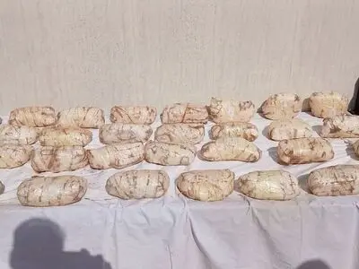 کشف بیش از ۳۱ کیلوگرم مواد مخدر شیشه با هوشیاری مرزبانان تایباد