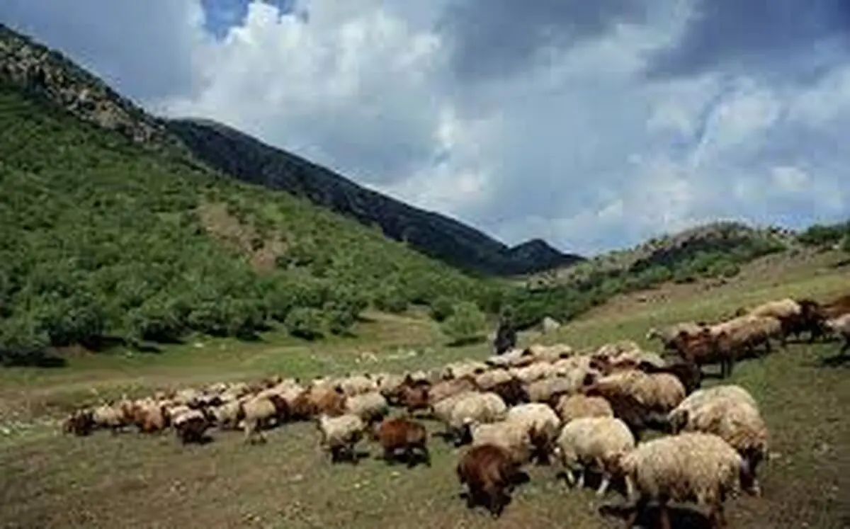 انجمن صنفی مرتع‌داران نقطه عطفی در مدیریت و حفظ مراتع به شمار می‌آید