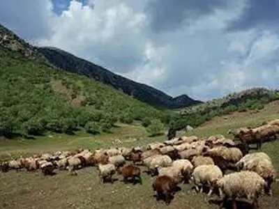 انجمن صنفی مرتع‌داران نقطه عطفی در مدیریت و حفظ مراتع به شمار می‌آید