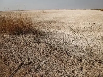 مهلت یک ماهه دادستان قزوین برای پیگیری چالش ریزگردها در تالاب الله آباد
