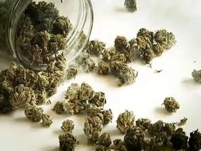 نشانه‌های ظاهری و روانی مصرف گل چیست؟