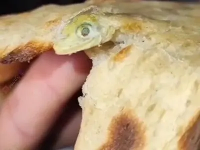 نان سنگک با طعم مارمولک + فیلم