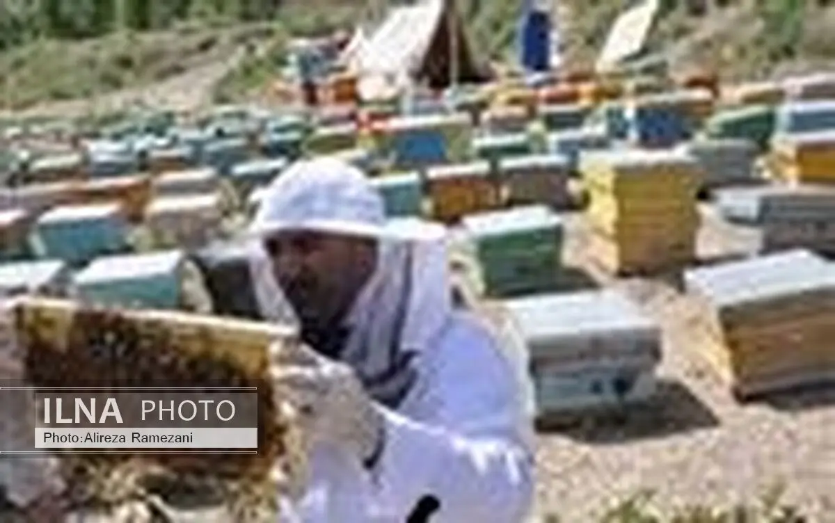 پایان طرح پایش زنبورستانهای استان خراسان رضوی