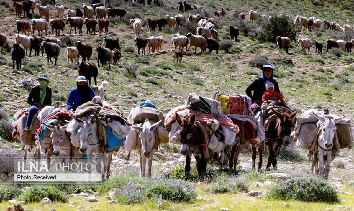 افزایش ۴۰ درصدی توزیع نهاده در میان عشایر/ امسال هم مراتع خوبی نخواهیم داشت
