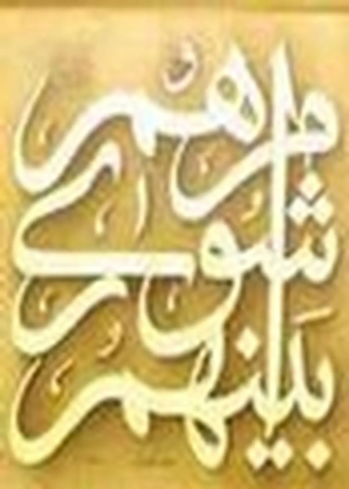 آمادگی شورای شهر زنجان برای جذب سرمایه‌گذار احداثشهرک سلامت