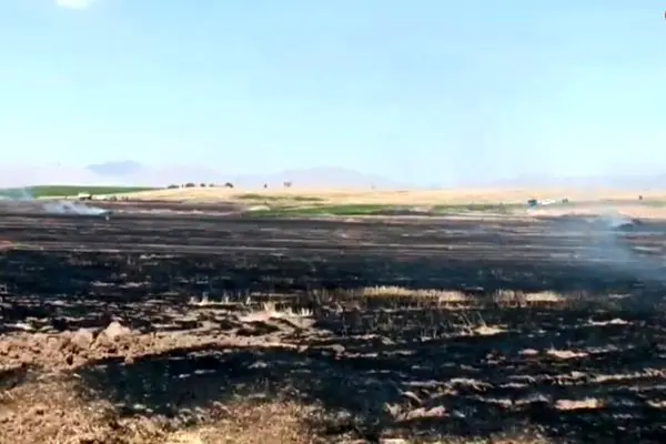 آذرخش سبب آتش سوزی در زمین های کشاورزی شد