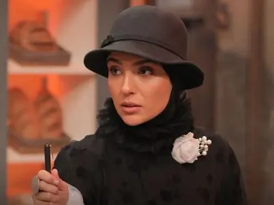 اگر تلویزیون نقش چالشی پیشنهاد بدهد با آن همکاری می‌کنم