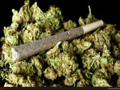 کشف ۹۱ کیلوگرم ماده مخدر گل در استان مرکزی/ ۴ نفر دستگیر شدند