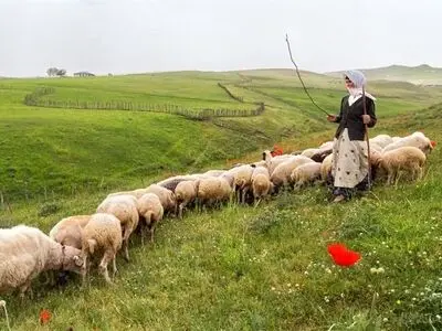 تولید صنعتی دام سبک؛ دستور کار جدید برای سال 1402