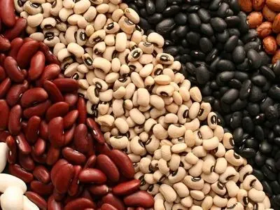 آغاز ثبت سفارش حبوبات سهمیه فصل پاییز از ۲۹ شهریور