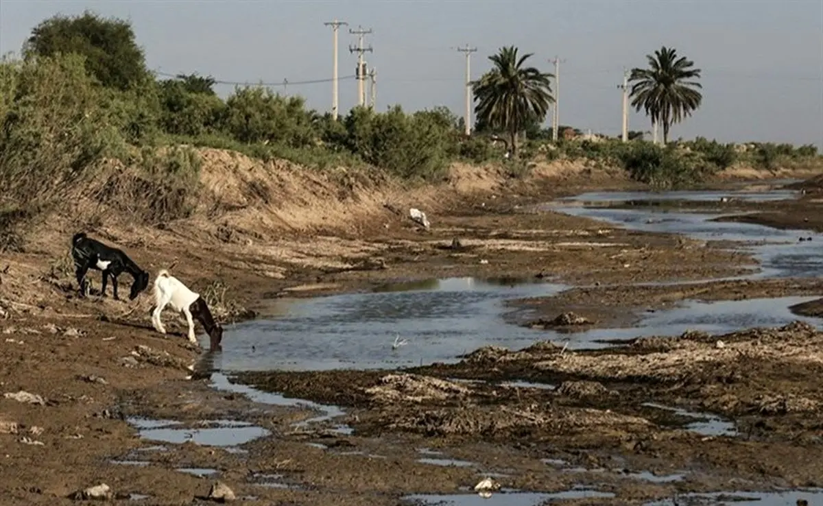 بحران آب در خوزستان/نماینده آبادان: لزوم استفاده هدفمند از ذخایر سدها/کاهش ۳۵ درصدی ذخایر آبی نسبت به سال گذشته