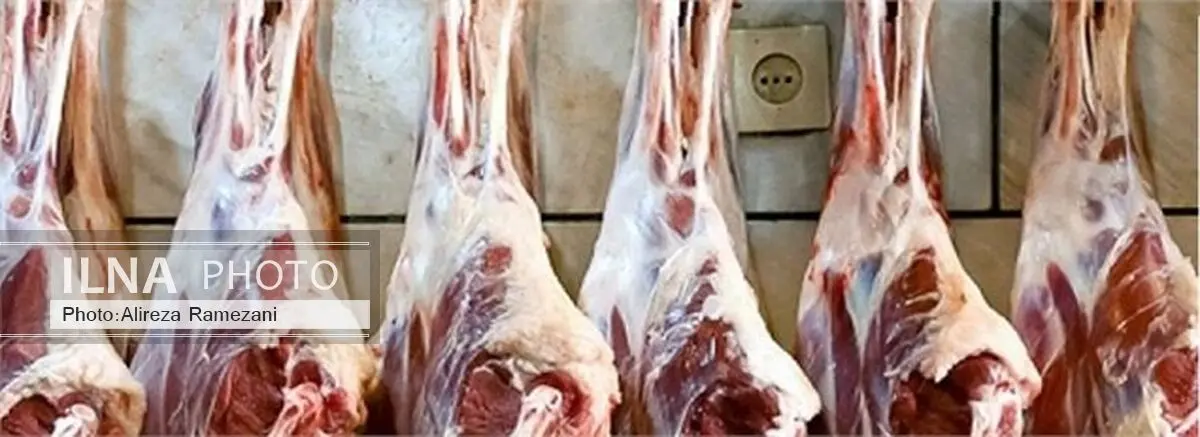 شرایط بازار گوشت گوسفندی نامطلوب است/احتمال افزایش قیمت مجدد