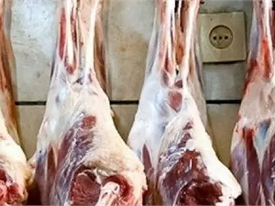 شرایط بازار گوشت گوسفندی نامطلوب است/احتمال افزایش قیمت مجدد