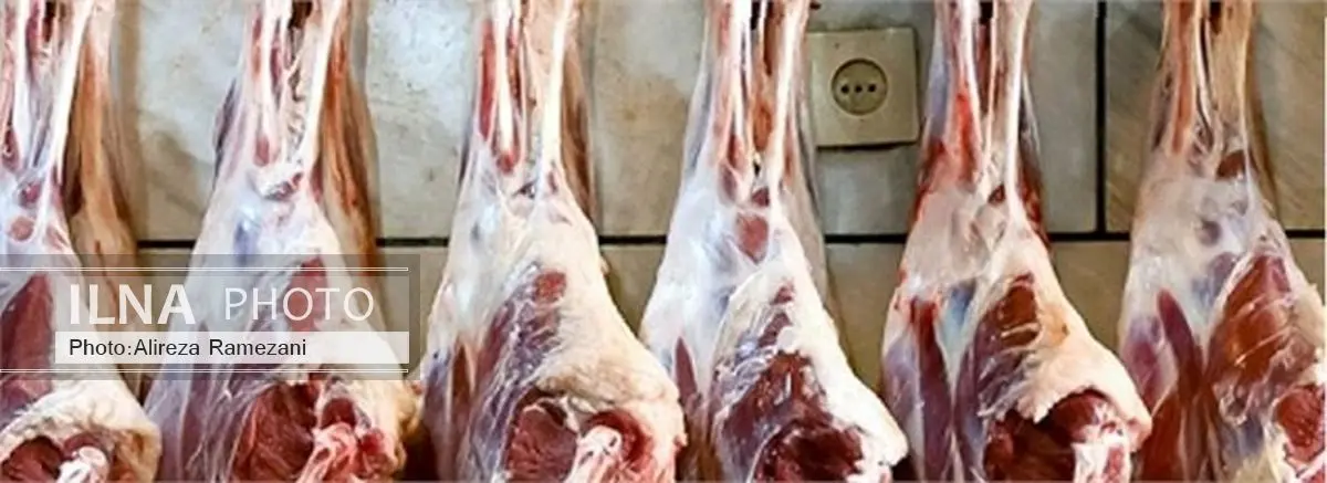 شرایط بازار گوشت گوسفندی نامطلوب است/احتمال افزایش قیمت مجدد