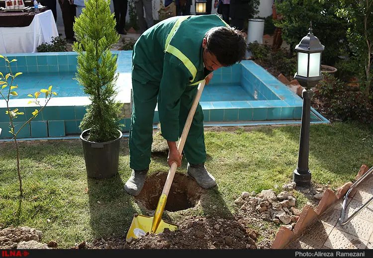گالری