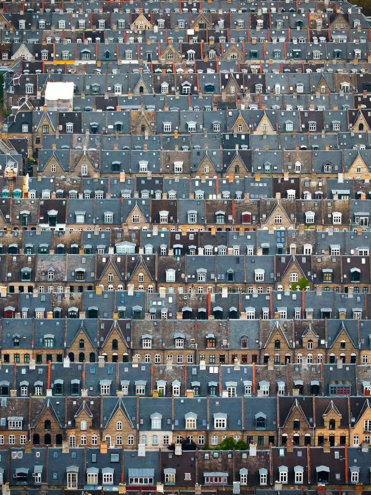 نمای هوایی از محله سیب‌زمینی ها + عکس