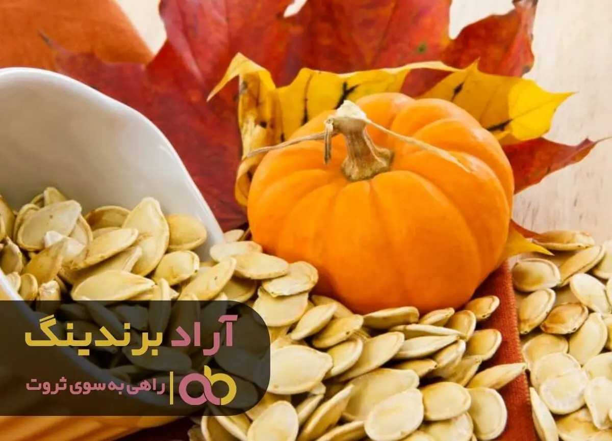 
شاخه گل آفتابگردانی که با خودش درآمد میلیاردی آورد