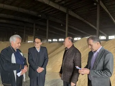 گشایش ارزی یک میلیارد و 700 میلیون دلاری برای واردات نهاده‌های دامی