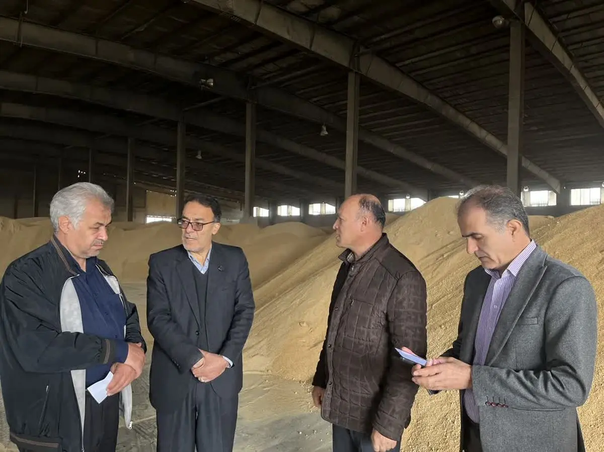 گشایش ارزی یک میلیارد و 700 میلیون دلاری برای واردات نهاده‌های دامی