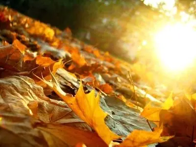 آغاز هفته پایانی پاییز در گیلان با هوای پایدار