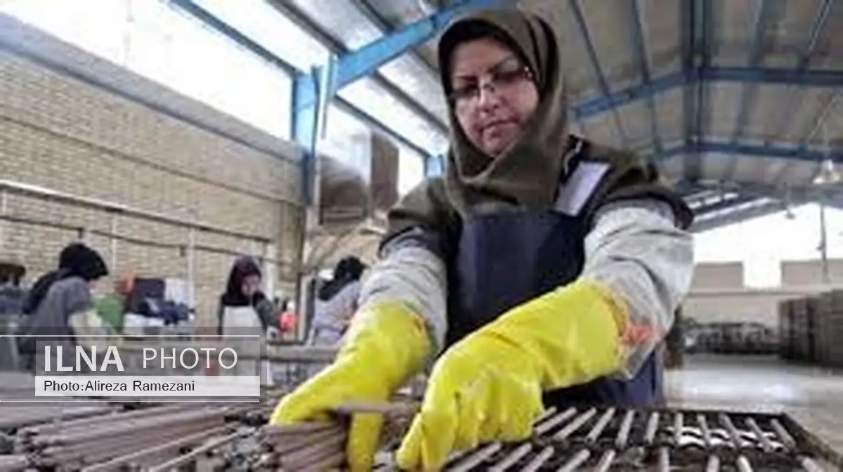 گردهمایی زنان پرچمداران اقتصاد مقاومتی در شهر مشهد آغاز به کار کرد