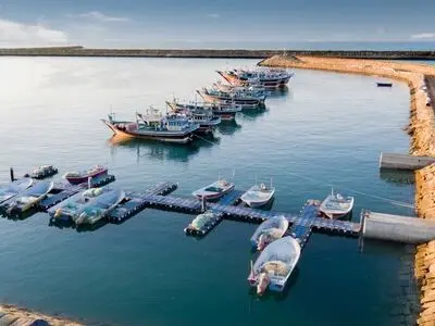 Iran’s trade with 15 neighboring states up 16% in 5 months: IRICA