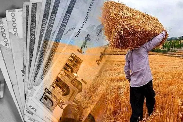 کشاورزان نگران پول محصول تحویلی خود نباشند