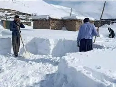 تصاویری از یخ زدن حیوانات در برف یک متری شهرستان رابر کرمان