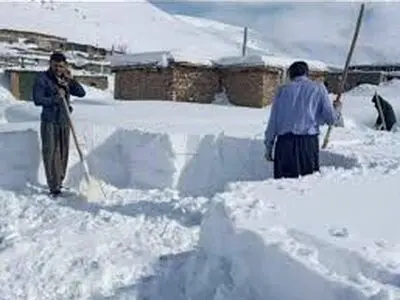تصاویری از یخ زدن حیوانات در برف یک متری شهرستان رابر کرمان