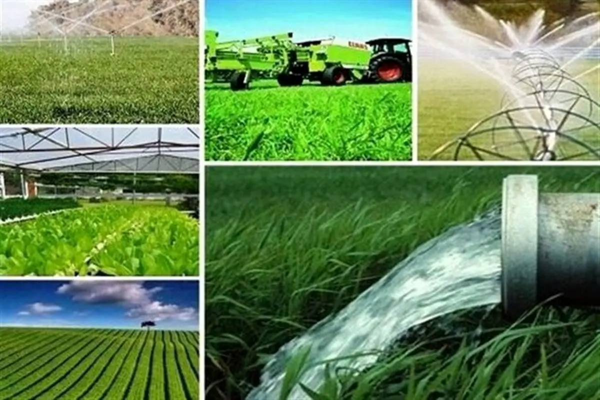 بخش کشاورزی با 5 درصد اعتبارات به جایی نمیرسد / اصل کلیدی و راهبردی دخیل کردن مردم در اقتصاد است