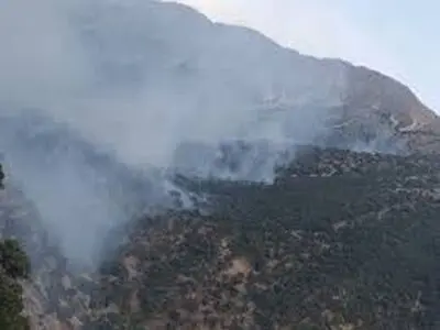 بلاخره آتش بوزین و مره‌خیل خاموش شد 