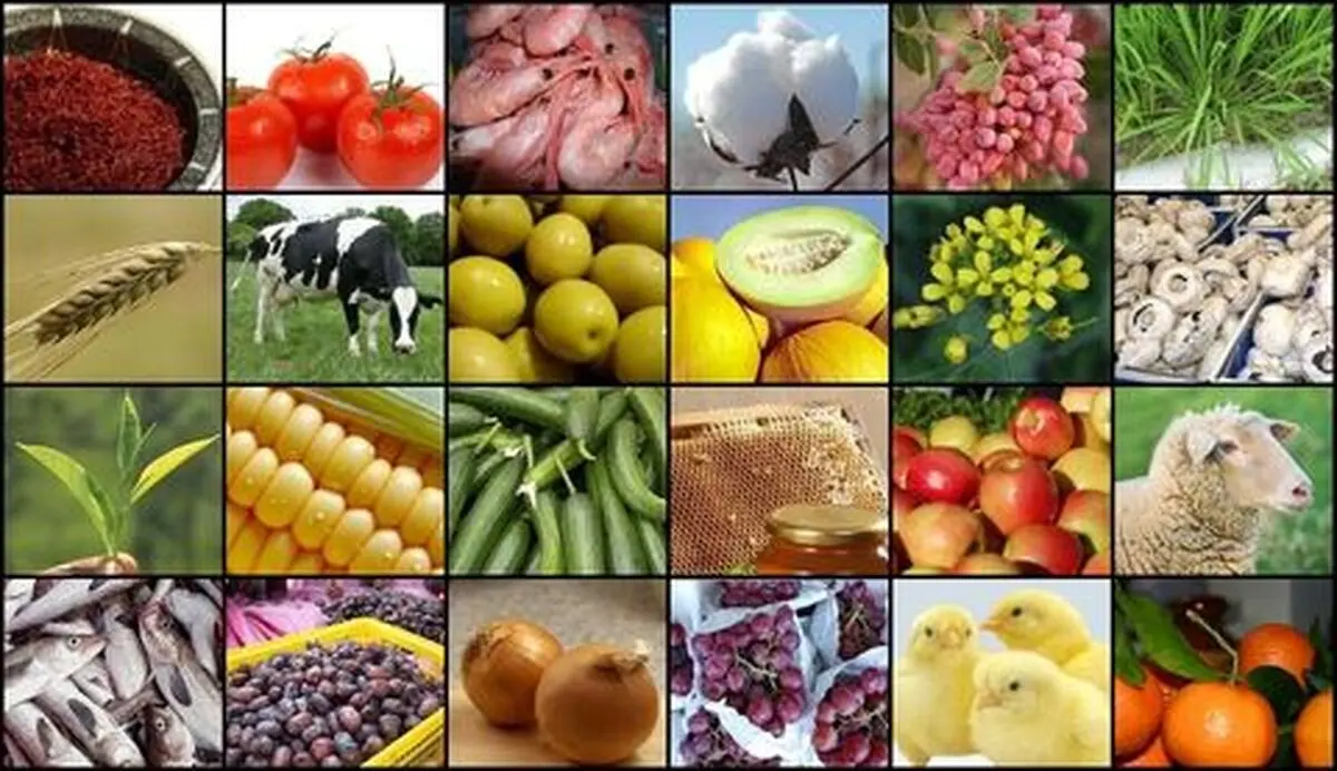 افزایش نرخ تورم تولید کننده زراعی و باغداری