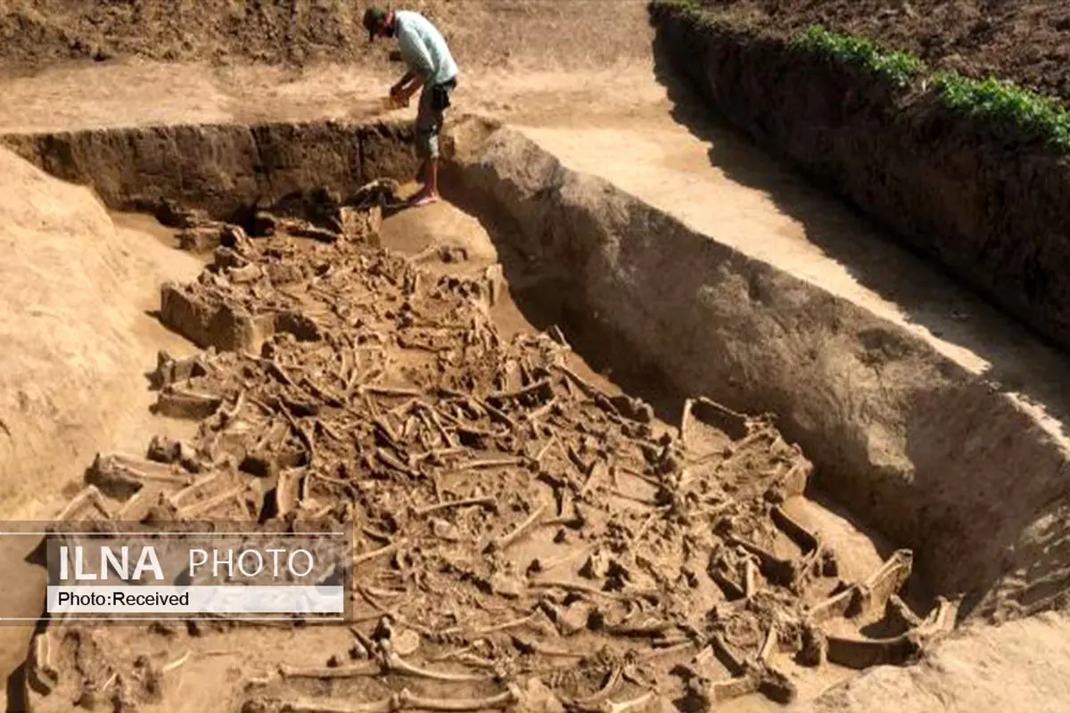 کشف گور دسته جمعی ۷ هزارساله با اجسادی بدون سر