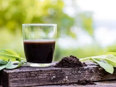 این کود طبیعی بمب انرژی برای گیاهان آپارتمانی است!