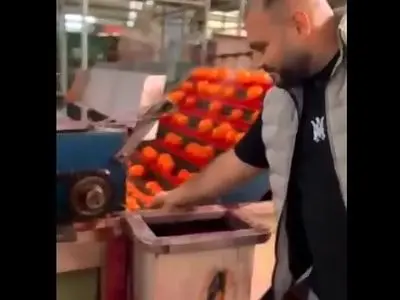 ویدئویی از رنگ کردن مرکبات!